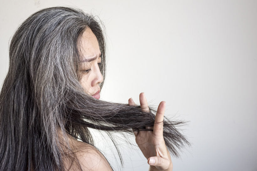 cheveux blanc Madame La Présidente