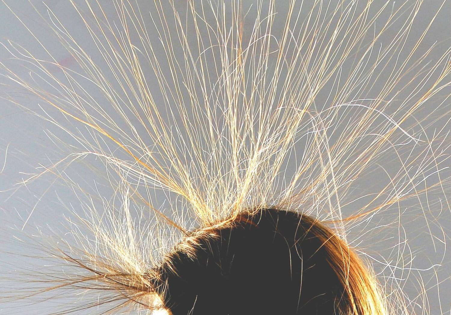 Lutter contre les cheveux électriques Madame La Présidente