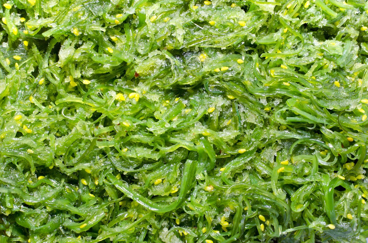 Green algae, spirulina: benefits for hair | Madame la Présidente